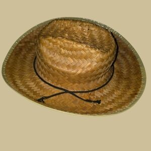 Classic Brown Straw Hat